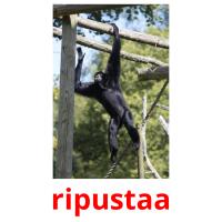 ripustaa picture flashcards