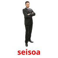 seisoa picture flashcards
