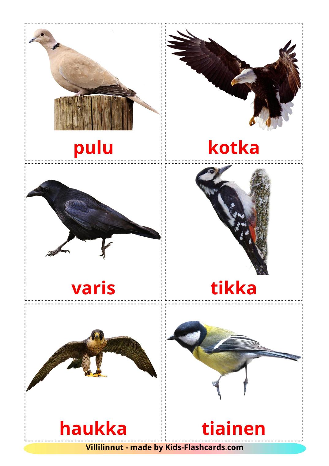 Wild birds - 18 Free Printable finnish Flashcards 