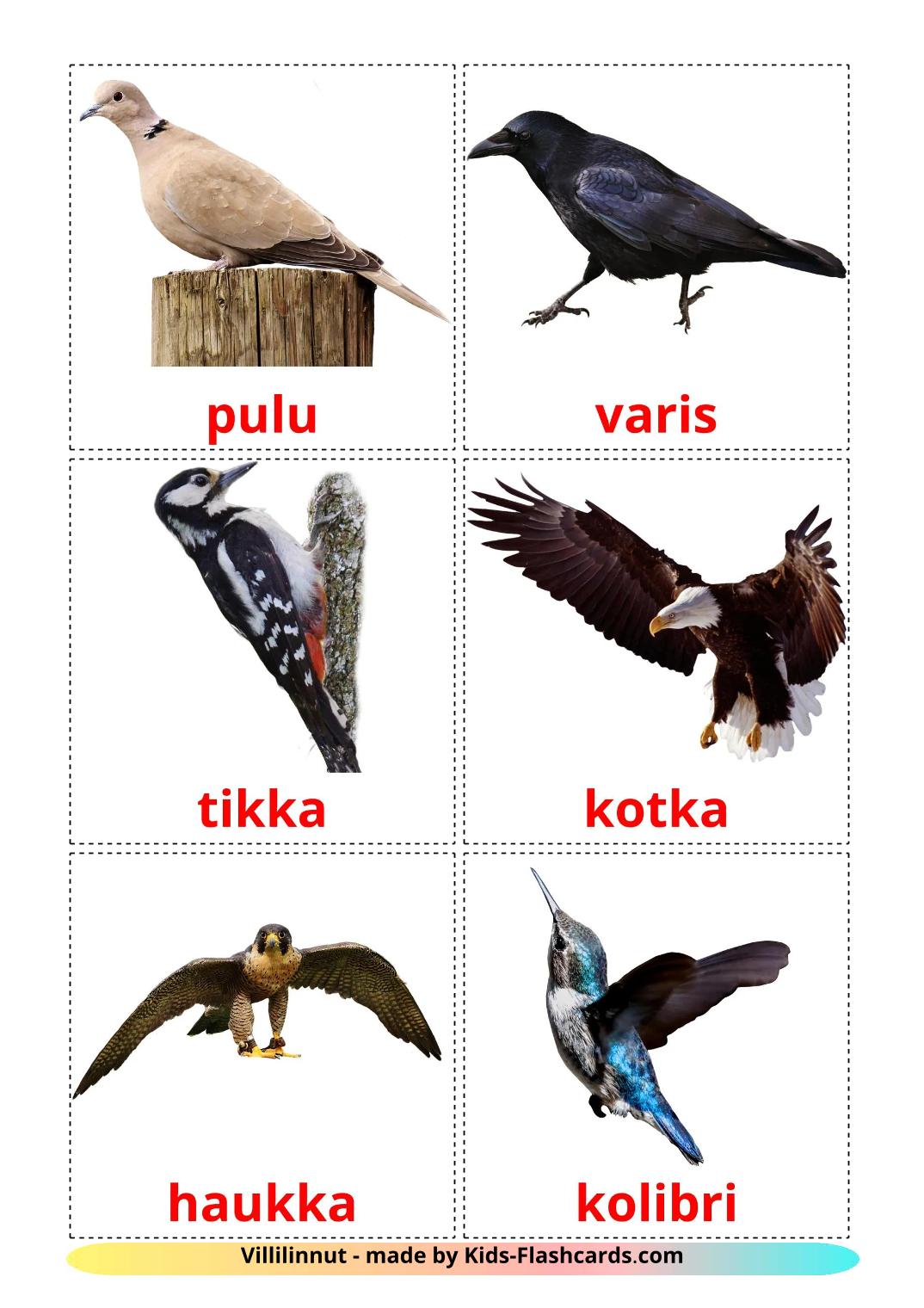 Wild birds - 19 Free Printable finnish Flashcards 