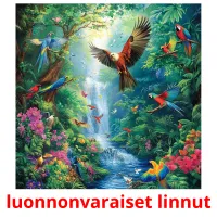 luonnonvaraiset linnut kuvakortit