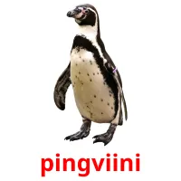 pingviini picture flashcards