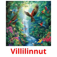 Villilinnut Tarjetas didacticas