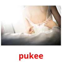 pukee picture flashcards