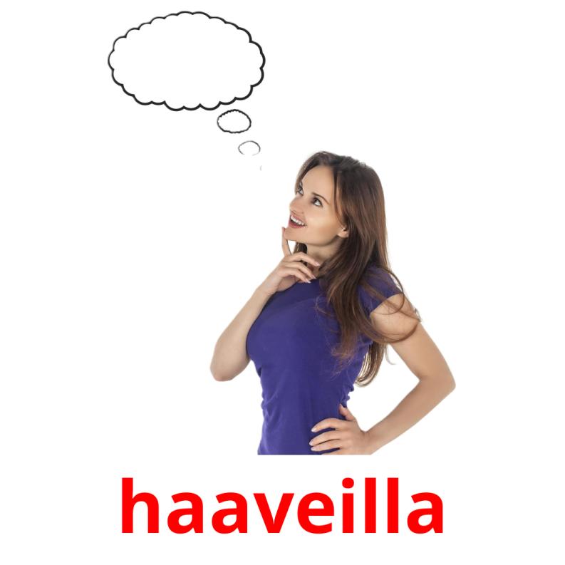 haaveilla picture flashcards