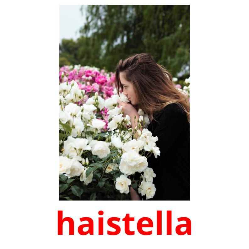 haistella picture flashcards