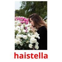 haistella flashcards illustrate