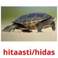 hitaasti/hidas Tarjetas didacticas