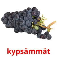 kypsämmät Tarjetas didacticas