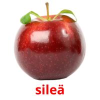 sileä picture flashcards