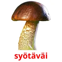 syötäväi Tarjetas didacticas