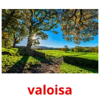 valoisa Tarjetas didacticas