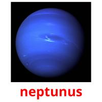 neptunus Bildkarteikarten