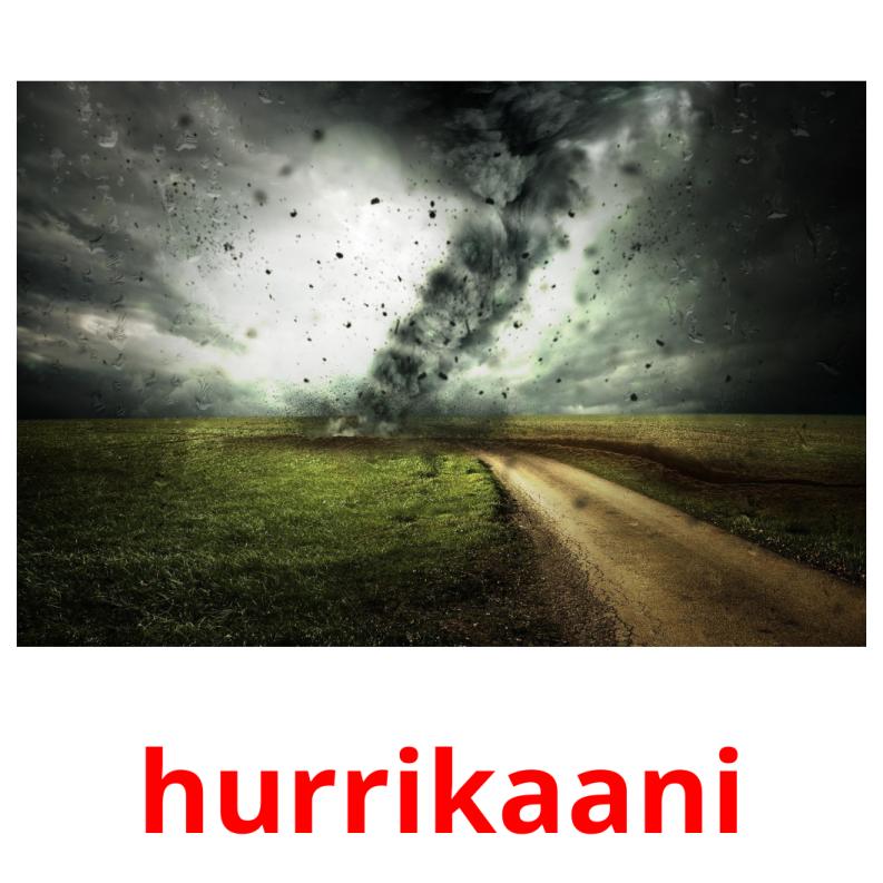hurrikaani picture flashcards