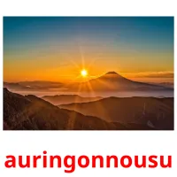 auringonnousu picture flashcards