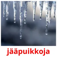 jääpuikkoja picture flashcards