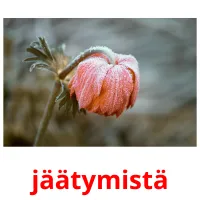 jäätymistä picture flashcards