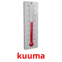 kuuma picture flashcards