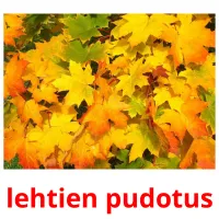 lehtien pudotus picture flashcards