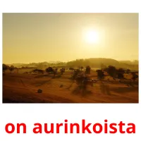 on aurinkoista picture flashcards