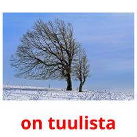 on tuulista picture flashcards