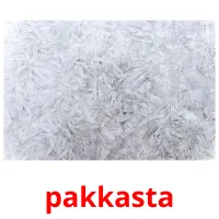 pakkasta picture flashcards