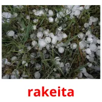 rakeita picture flashcards