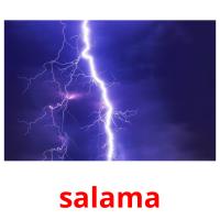 salama picture flashcards
