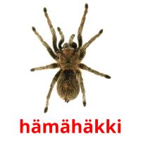 hämähäkki flashcards illustrate