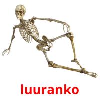 luuranko picture flashcards