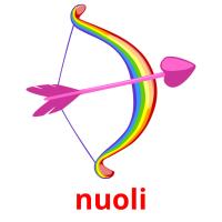 nuoli flashcards illustrate