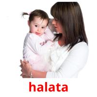 halata flashcards illustrate