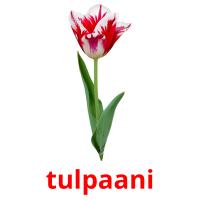 tulpaani card for translate