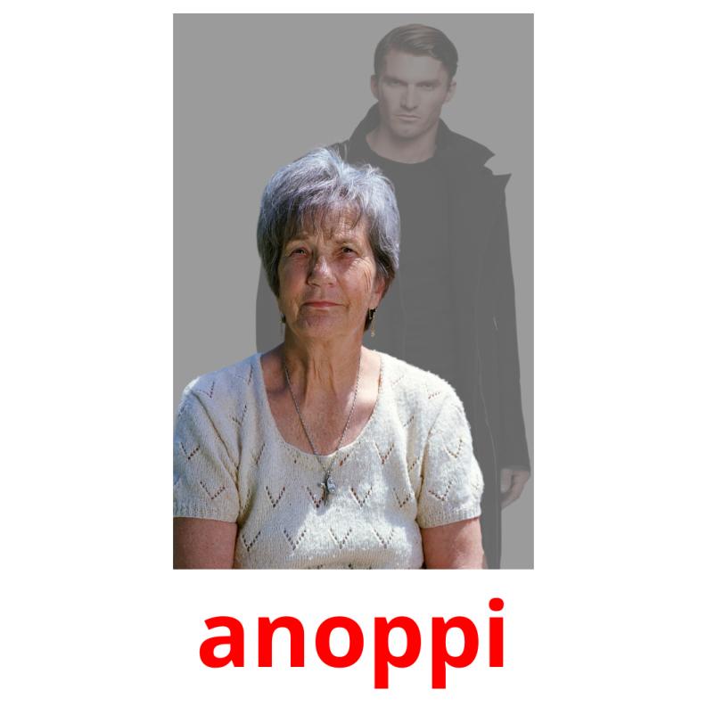 anoppi picture flashcards