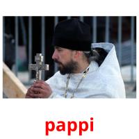 pappi picture flashcards