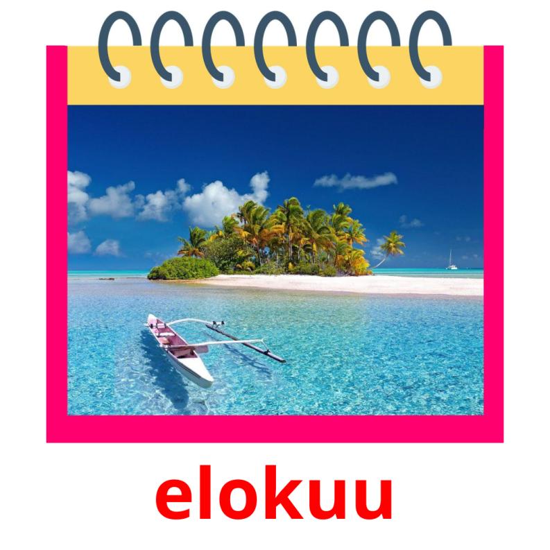 elokuu picture flashcards