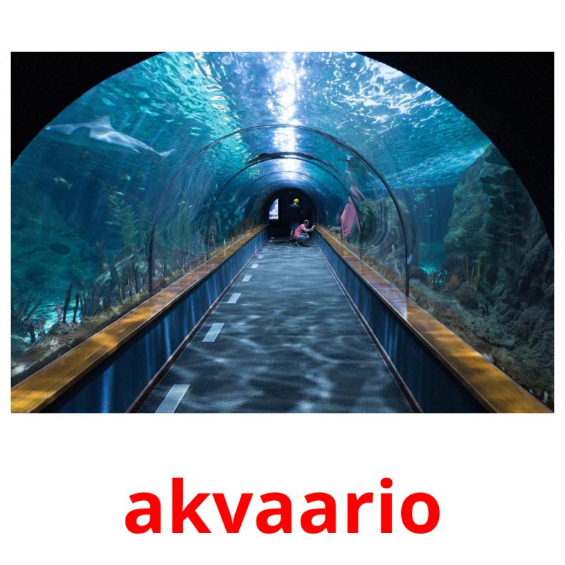 akvaario cartões com imagens