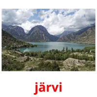 järvi picture flashcards