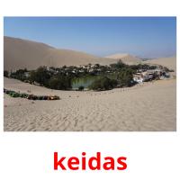 keidas picture flashcards