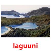 laguuni picture flashcards