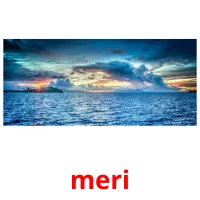 meri picture flashcards