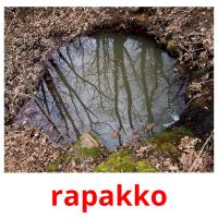 rapakko picture flashcards