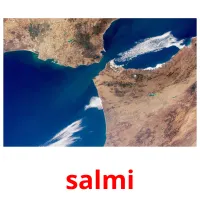 salmi picture flashcards