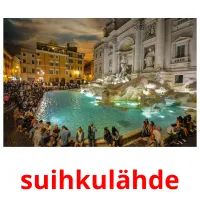 suihkulähde picture flashcards