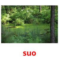 suo picture flashcards