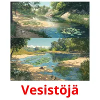 Vesistöjä picture flashcards