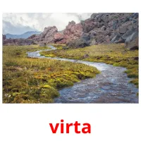 virta picture flashcards