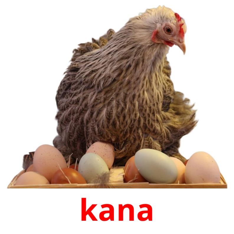 kana ansichtkaarten