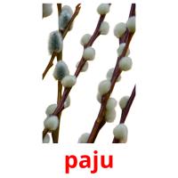 paju picture flashcards