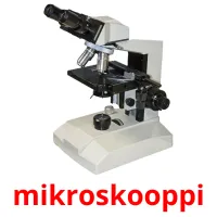 mikroskooppi Tarjetas didacticas